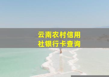 云南农村信用社银行卡查询