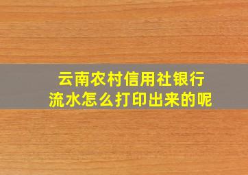 云南农村信用社银行流水怎么打印出来的呢