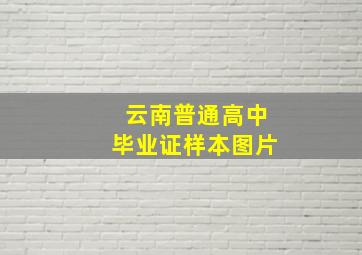 云南普通高中毕业证样本图片