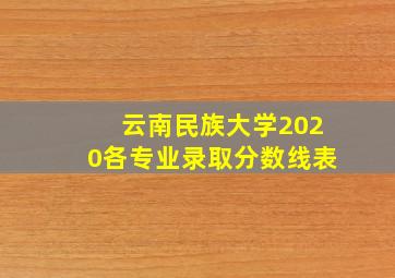 云南民族大学2020各专业录取分数线表