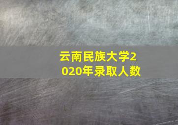 云南民族大学2020年录取人数