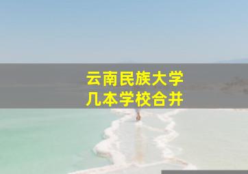 云南民族大学几本学校合并