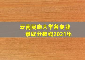 云南民族大学各专业录取分数线2021年