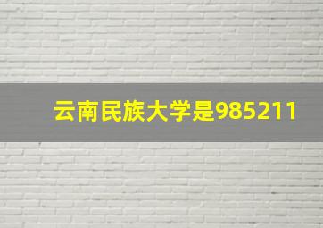 云南民族大学是985211