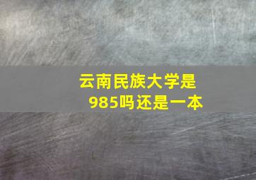 云南民族大学是985吗还是一本