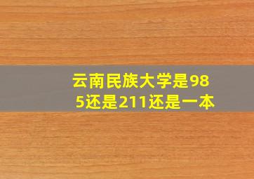 云南民族大学是985还是211还是一本