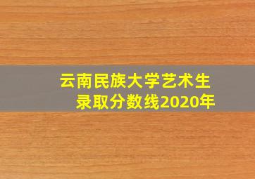 云南民族大学艺术生录取分数线2020年