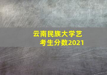 云南民族大学艺考生分数2021