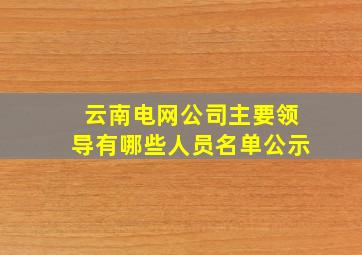 云南电网公司主要领导有哪些人员名单公示