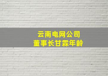 云南电网公司董事长甘霖年龄