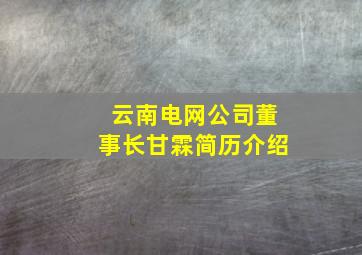 云南电网公司董事长甘霖简历介绍