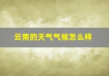 云南的天气气候怎么样