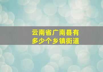 云南省广南县有多少个乡镇街道