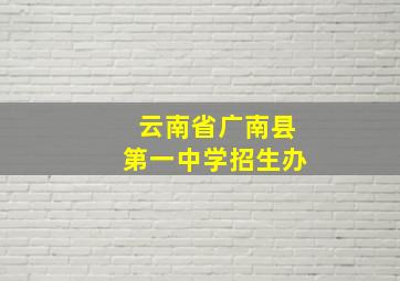 云南省广南县第一中学招生办