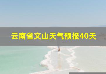 云南省文山天气预报40天