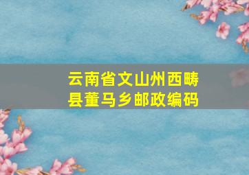 云南省文山州西畴县董马乡邮政编码