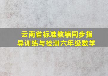 云南省标准教辅同步指导训练与检测六年级数学