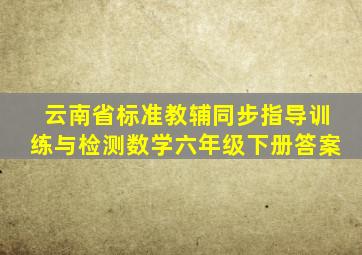 云南省标准教辅同步指导训练与检测数学六年级下册答案