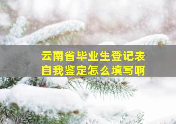 云南省毕业生登记表自我鉴定怎么填写啊