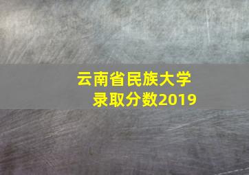 云南省民族大学录取分数2019