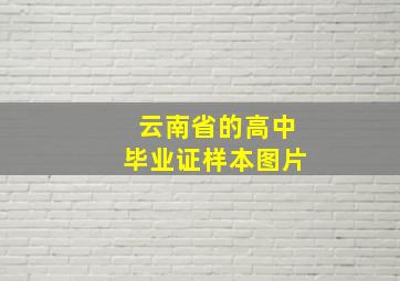 云南省的高中毕业证样本图片