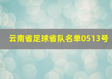 云南省足球省队名单0513号