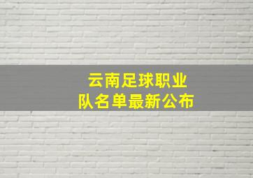 云南足球职业队名单最新公布