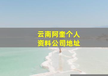 云南阿奎个人资料公司地址