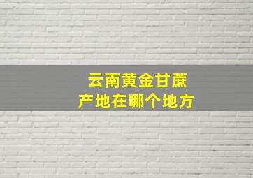 云南黄金甘蔗产地在哪个地方