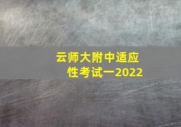 云师大附中适应性考试一2022