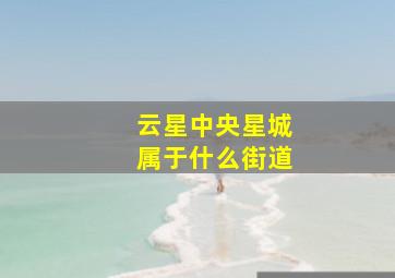 云星中央星城属于什么街道