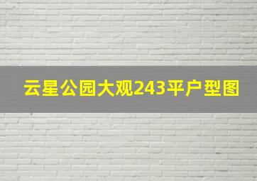 云星公园大观243平户型图