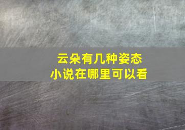 云朵有几种姿态小说在哪里可以看