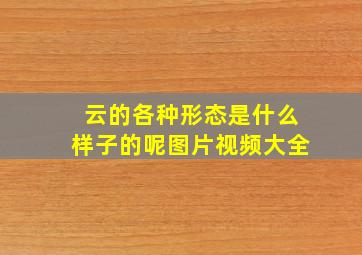 云的各种形态是什么样子的呢图片视频大全