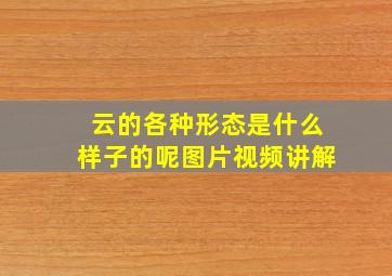 云的各种形态是什么样子的呢图片视频讲解