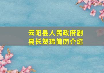 云阳县人民政府副县长贺玮简历介绍