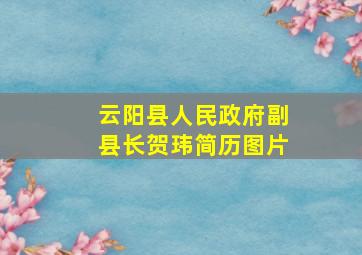 云阳县人民政府副县长贺玮简历图片