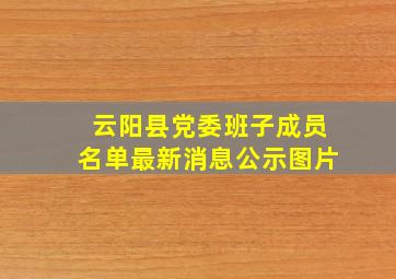 云阳县党委班子成员名单最新消息公示图片