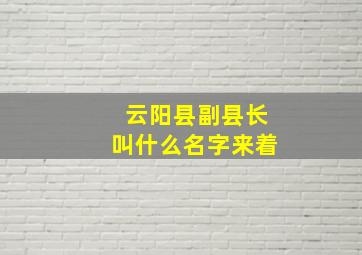 云阳县副县长叫什么名字来着