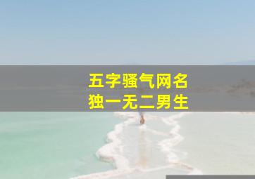 五字骚气网名独一无二男生