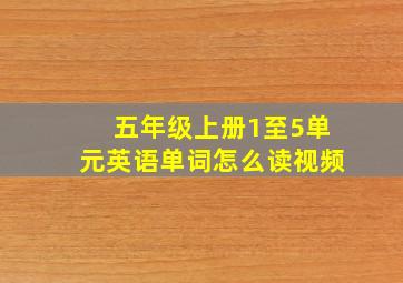 五年级上册1至5单元英语单词怎么读视频