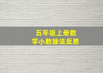 五年级上册数学小数除法反思