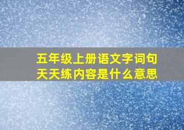 五年级上册语文字词句天天练内容是什么意思