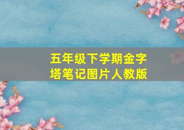 五年级下学期金字塔笔记图片人教版