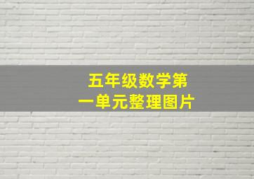 五年级数学第一单元整理图片