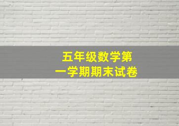 五年级数学第一学期期末试卷