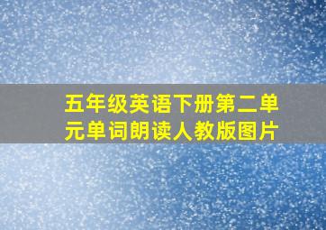 五年级英语下册第二单元单词朗读人教版图片