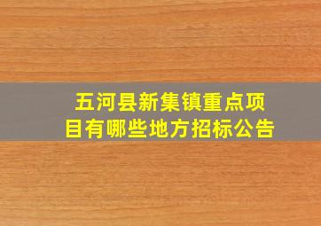 五河县新集镇重点项目有哪些地方招标公告