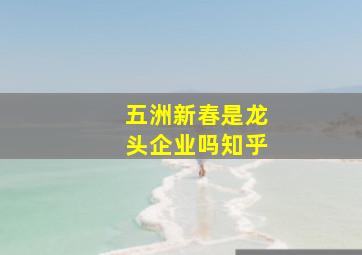 五洲新春是龙头企业吗知乎