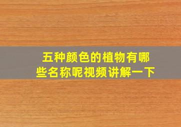 五种颜色的植物有哪些名称呢视频讲解一下